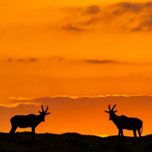 Book Michel par Book Michel