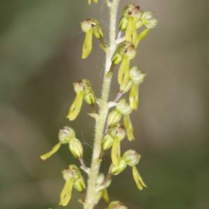 Macro Sud Ouest par Macro Sud Ouest