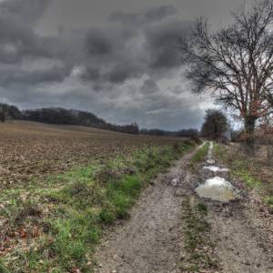 Paysage par Paysage