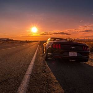 Landscape par Landscape