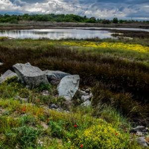 La lumière metrisée par La lumière metrisée