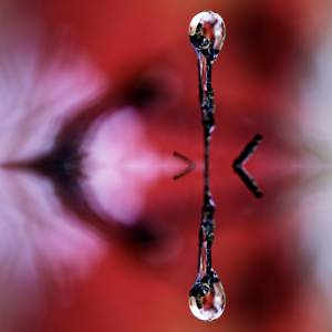 Art Nature par Art Nature