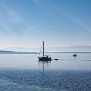 Paysages par Paysages