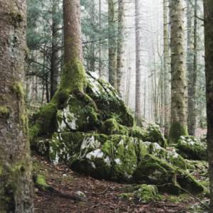 Paysages par Paysages