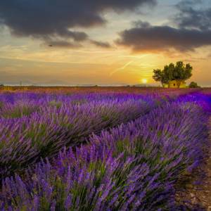 photos preférés par photos preférés