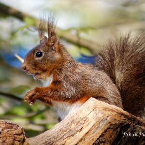 Drinkstation par Drinkstation