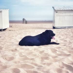 Bo Iz Full par Bo Iz Full