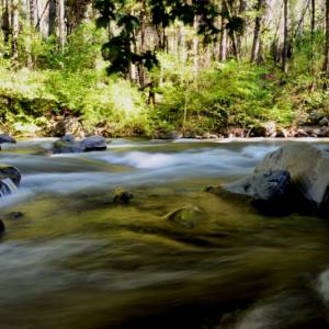 The great outdoors par The great outdoors