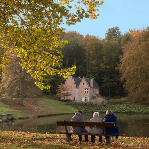 La forêt de Soignes en automne par La forêt de Soignes en automne