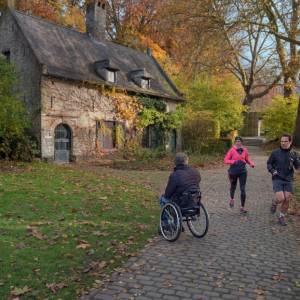 La forêt de Soignes en automne par La forêt de Soignes en automne