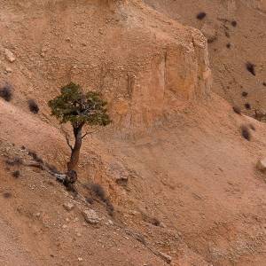 Bryce Canyon par Bryce Canyon