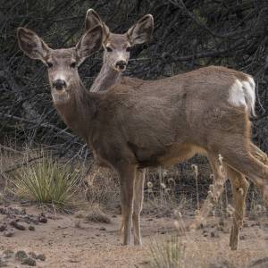 Colorado par Colorado