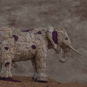 Créations numériques par Créations numériques