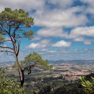 Lisbonne & Sintra par Lisbonne & Sintra