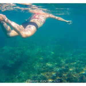 on en a pour son argent par on en a pour son argent