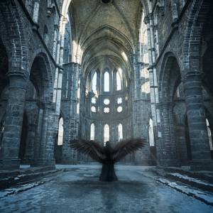 Book Studio Clavicule Pics par Book Studio Clavicule Pics