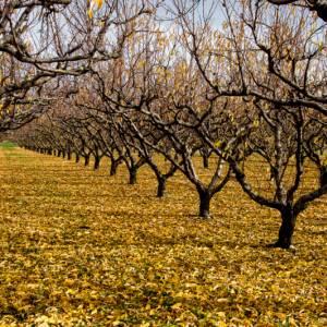 Concours par Concours